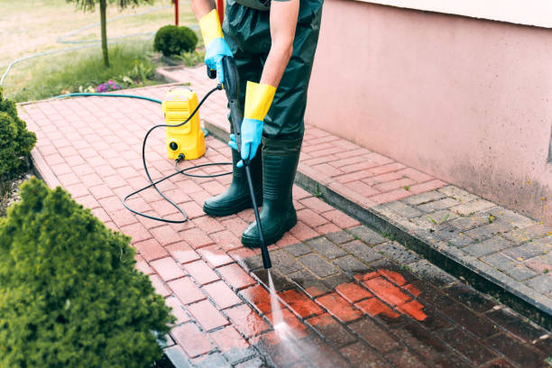 Best Animal Enclosure Cleaning  in Crestwood Village, NJ